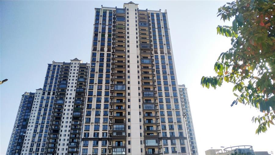 AG Club | The Originator of Live Casino