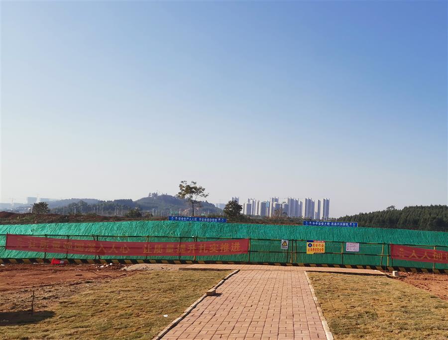 AG Club | The Originator of Live Casino