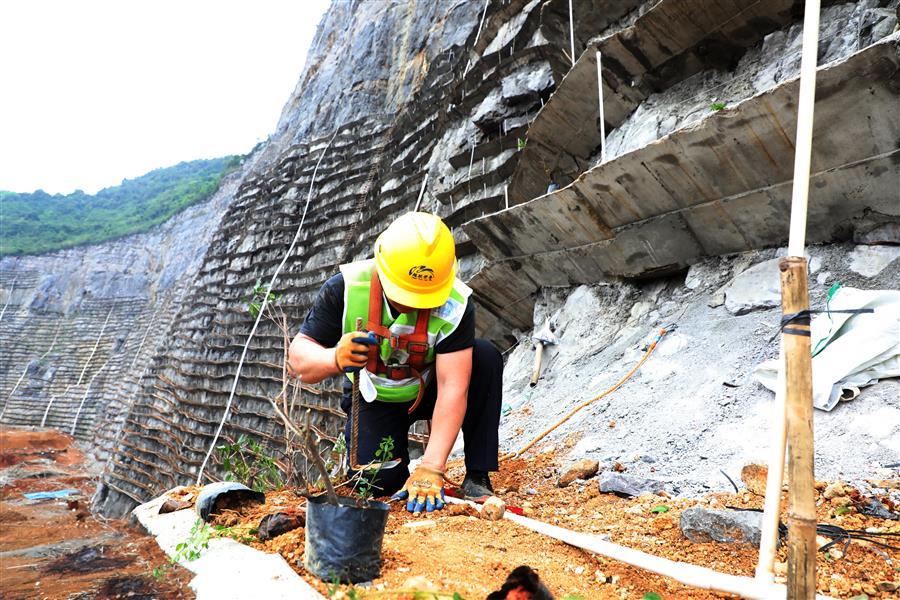 AG Club | The Originator of Live Casino