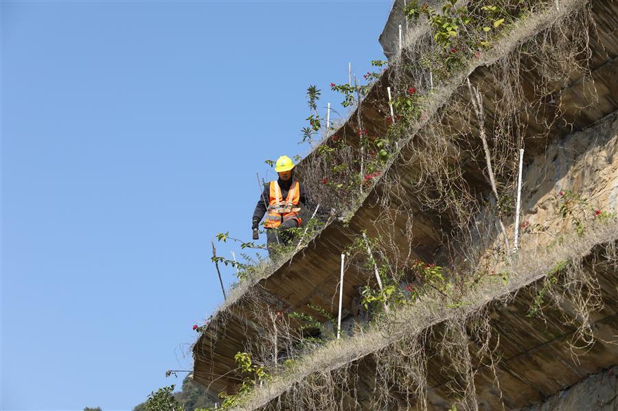 AG Club | The Originator of Live Casino