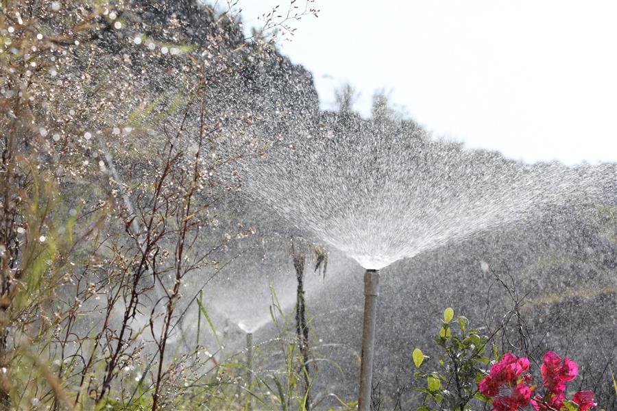 AG Club | The Originator of Live Casino