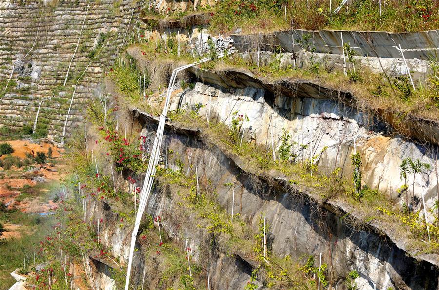 AG Club | The Originator of Live Casino