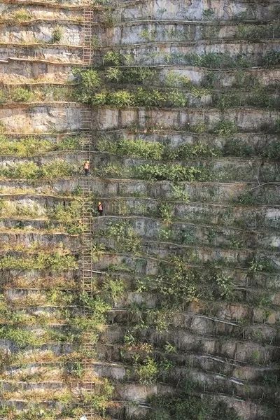 AG Club | The Originator of Live Casino