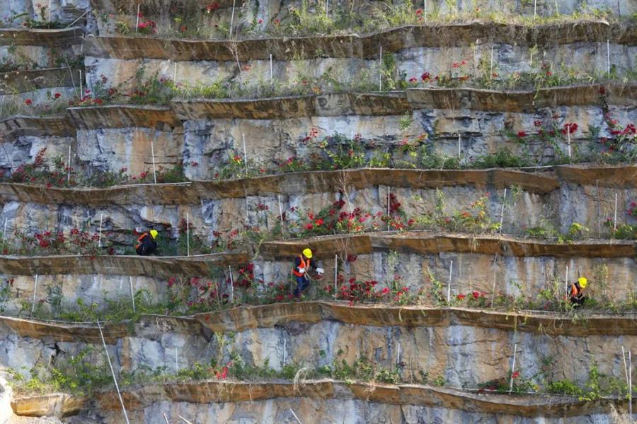 AG Club | The Originator of Live Casino