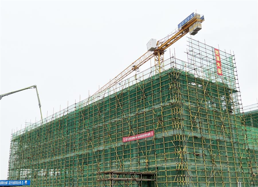 AG Club | The Originator of Live Casino