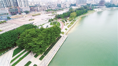 AG Club | The Originator of Live Casino