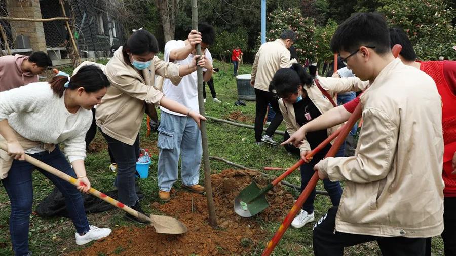 AG Club | The Originator of Live Casino