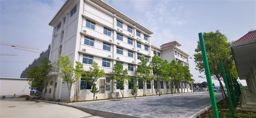 AG Club | The Originator of Live Casino