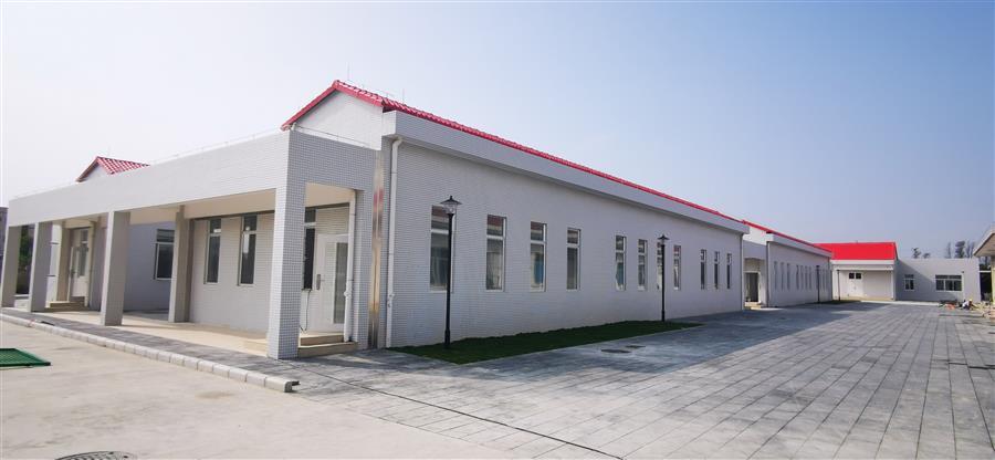 AG Club | The Originator of Live Casino