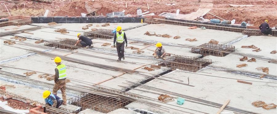 AG Club | The Originator of Live Casino