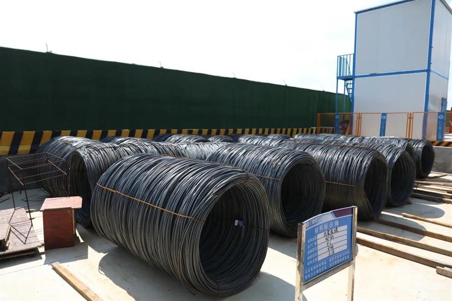 AG Club | The Originator of Live Casino