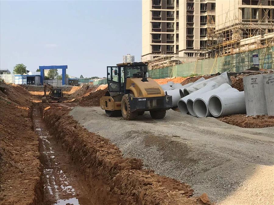 AG Club | The Originator of Live Casino