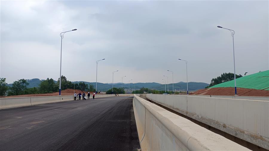 AG Club | The Originator of Live Casino