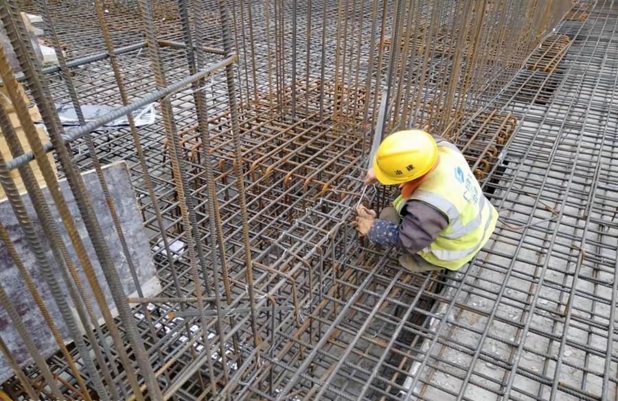 AG Club | The Originator of Live Casino