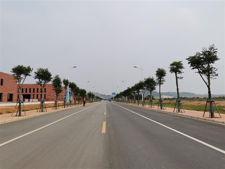 AG Club | The Originator of Live Casino