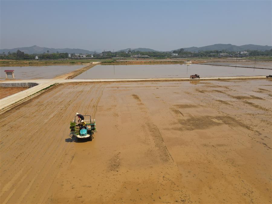 AG Club | The Originator of Live Casino