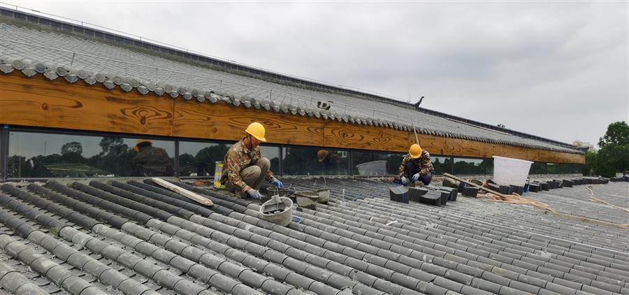 AG Club | The Originator of Live Casino