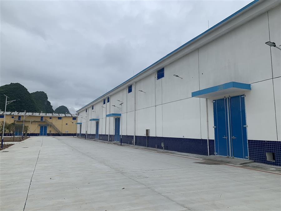 AG Club | The Originator of Live Casino