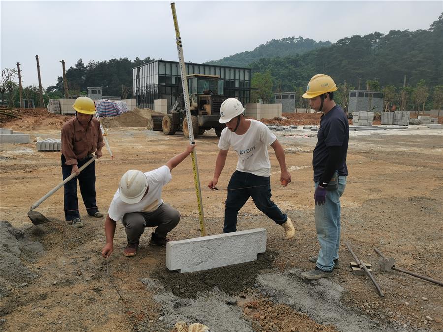 AG Club | The Originator of Live Casino