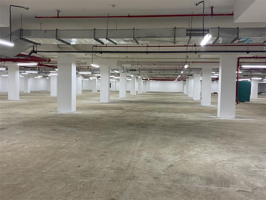 AG Club | The Originator of Live Casino