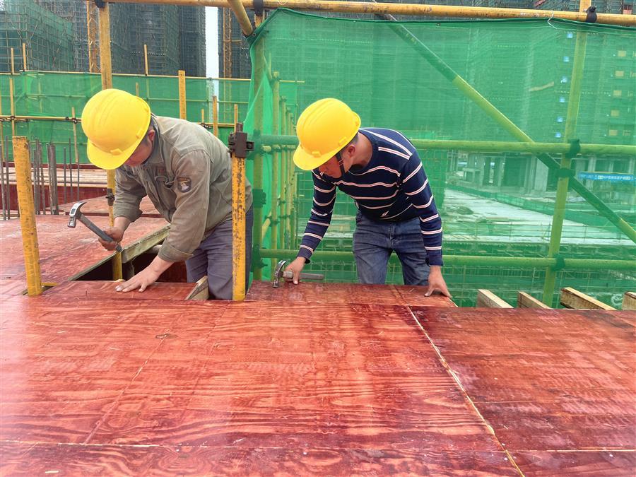 AG Club | The Originator of Live Casino