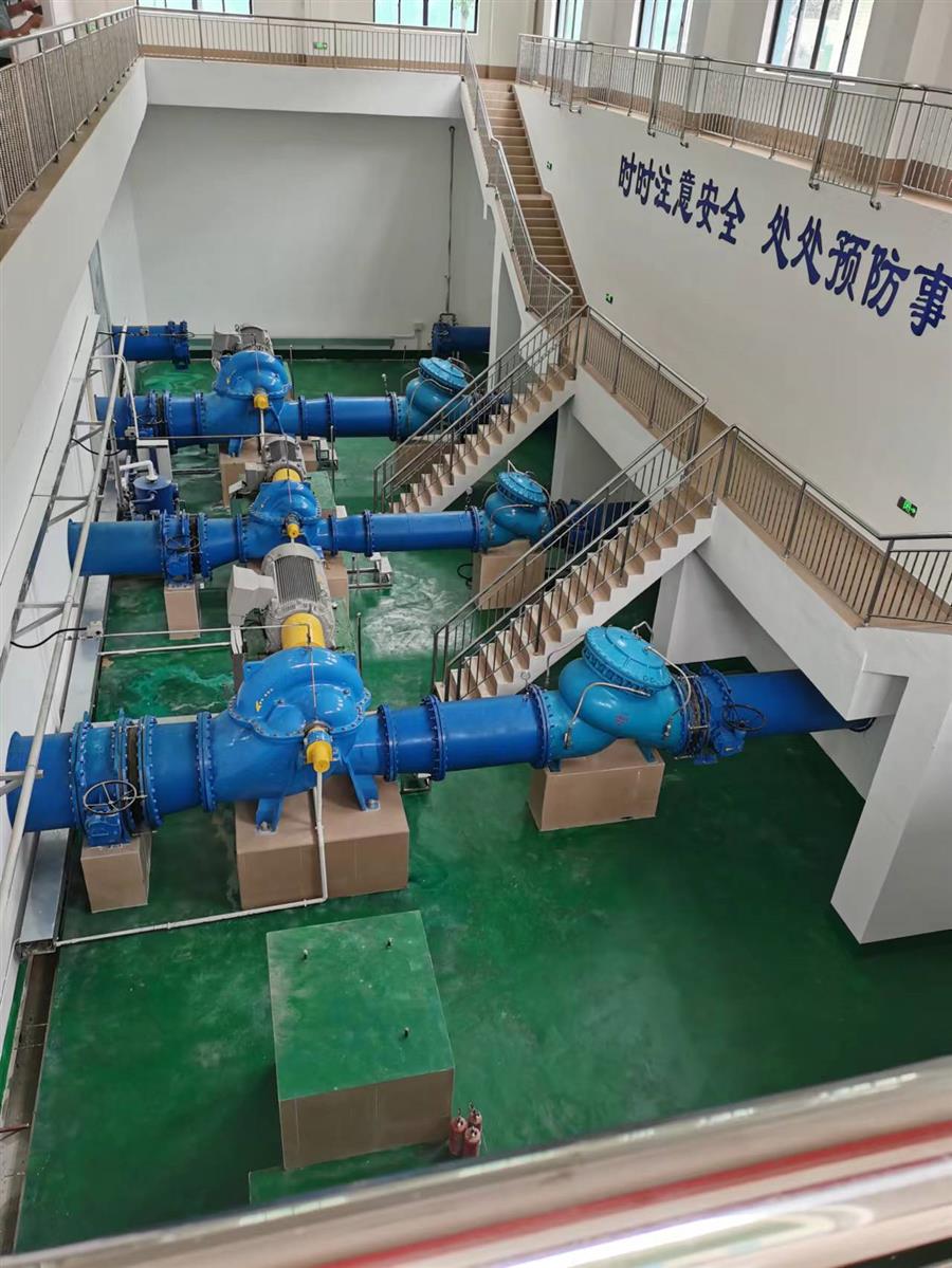 AG Club | The Originator of Live Casino