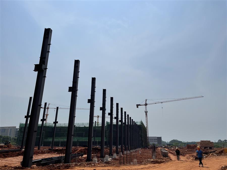 AG Club | The Originator of Live Casino