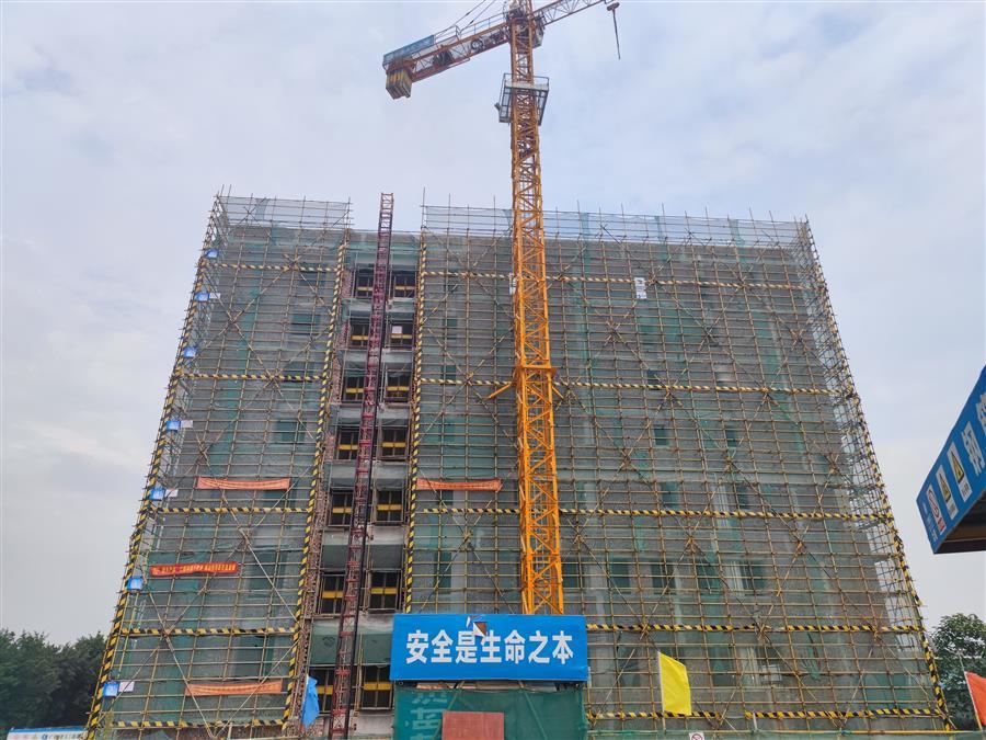 AG Club | The Originator of Live Casino