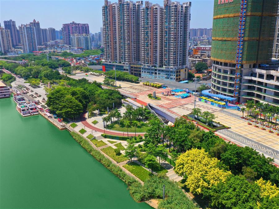 AG Club | The Originator of Live Casino