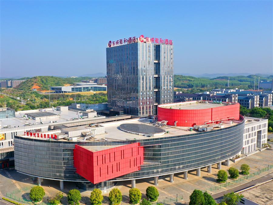 AG Club | The Originator of Live Casino