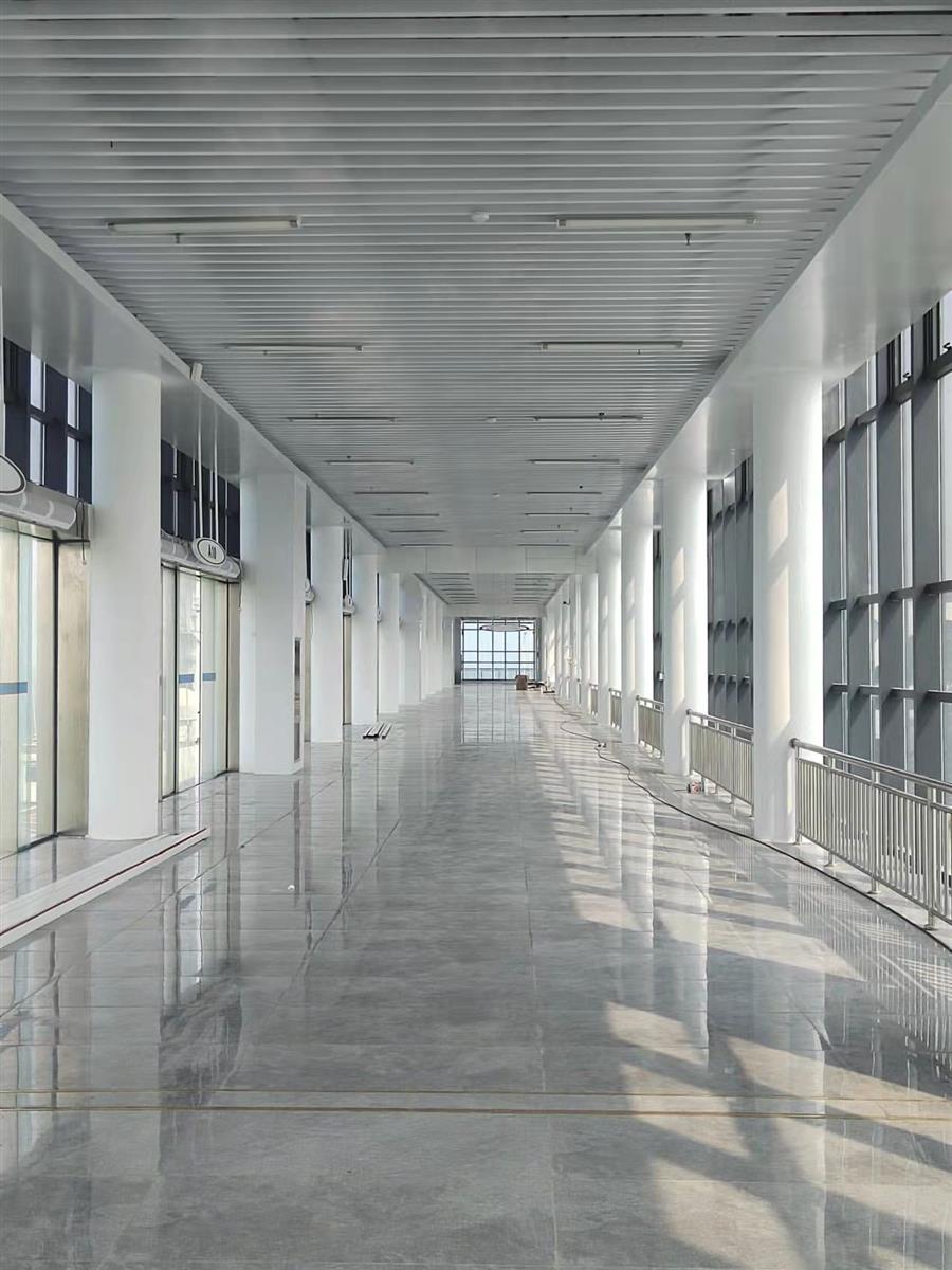 AG Club | The Originator of Live Casino