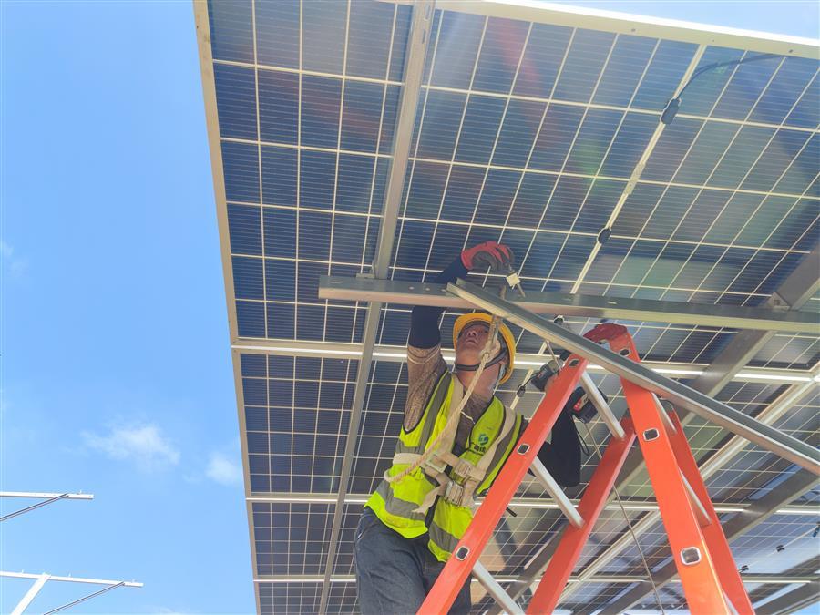 AG Club | The Originator of Live Casino