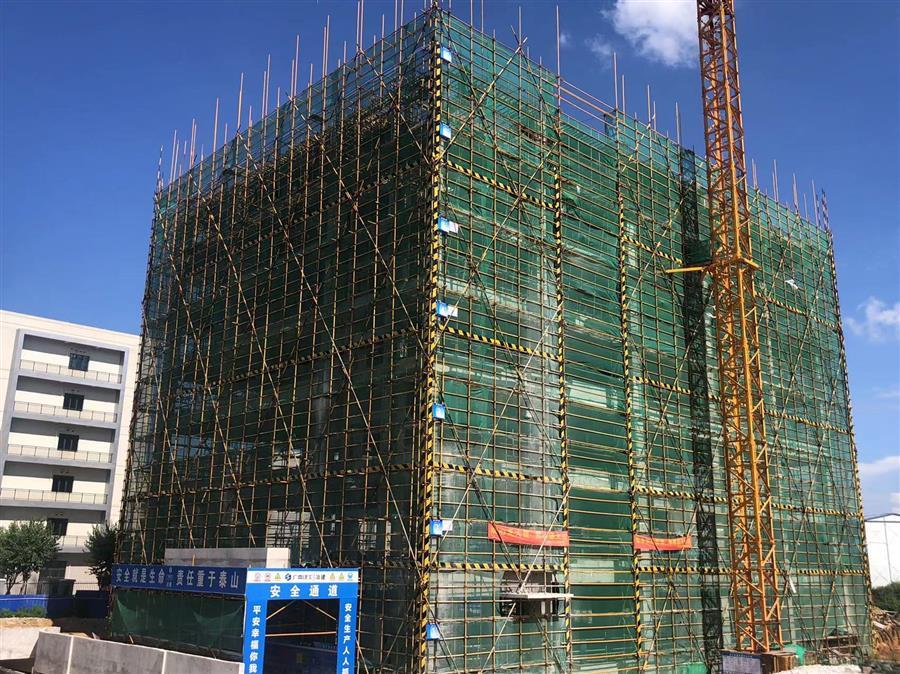 AG Club | The Originator of Live Casino