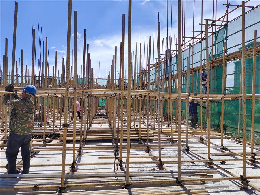 AG Club | The Originator of Live Casino