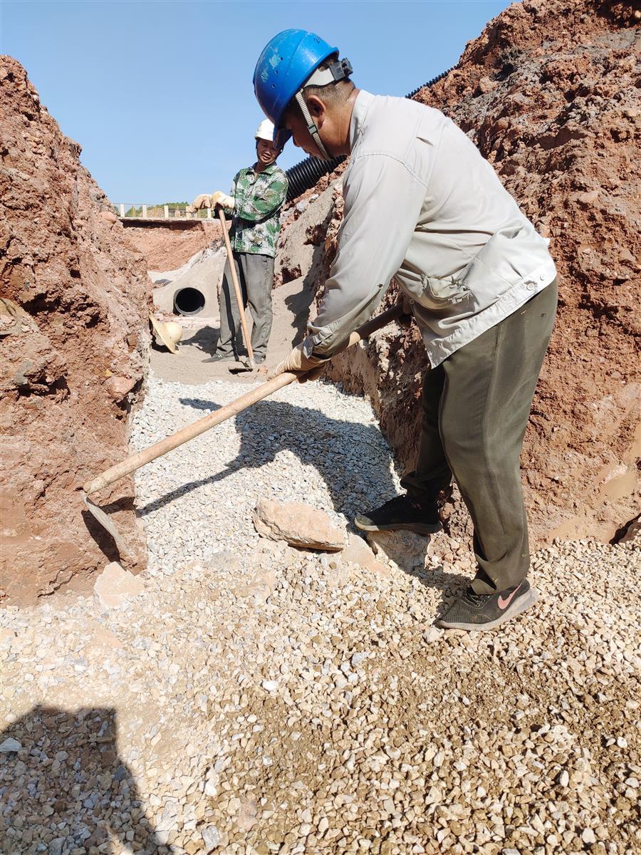 AG Club | The Originator of Live Casino