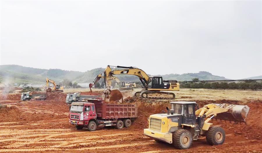 AG Club | The Originator of Live Casino