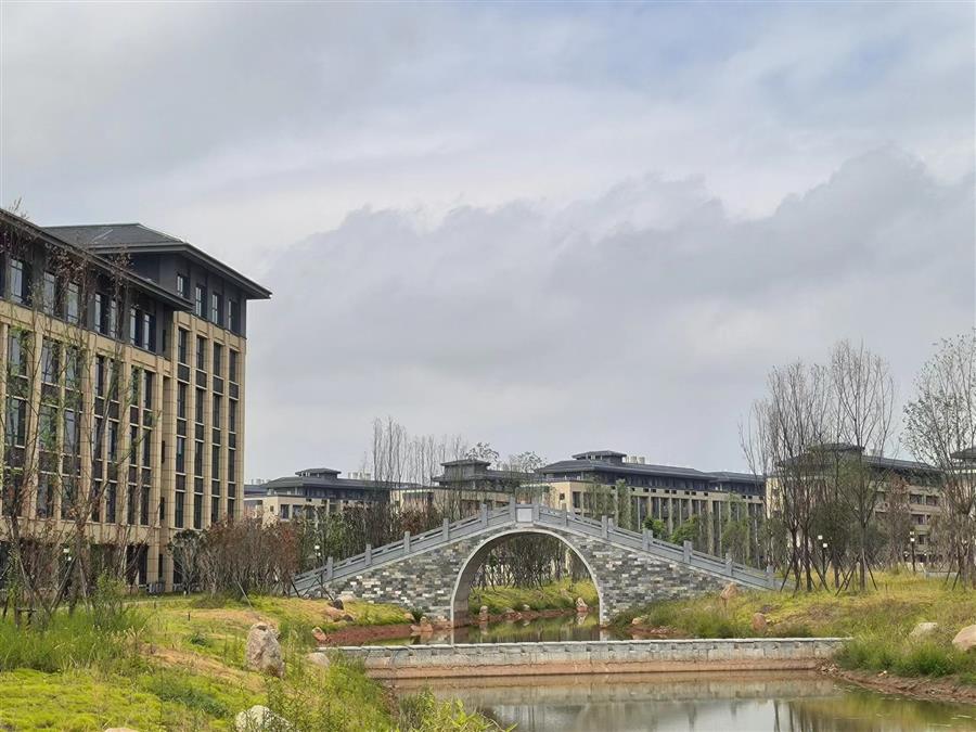 AG Club | The Originator of Live Casino