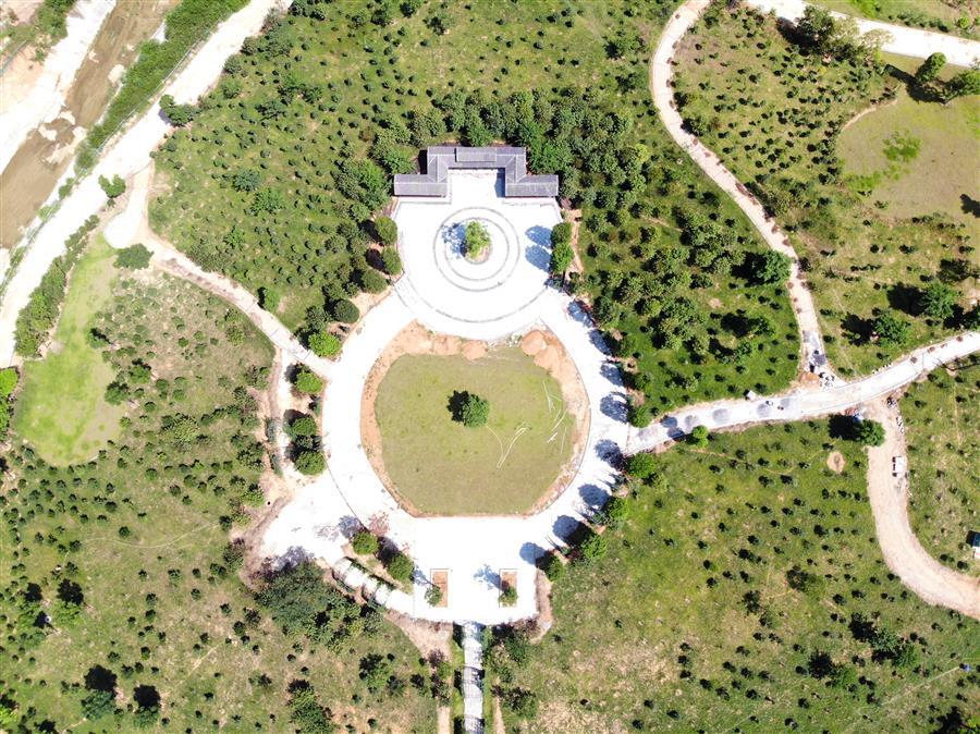 AG Club | The Originator of Live Casino