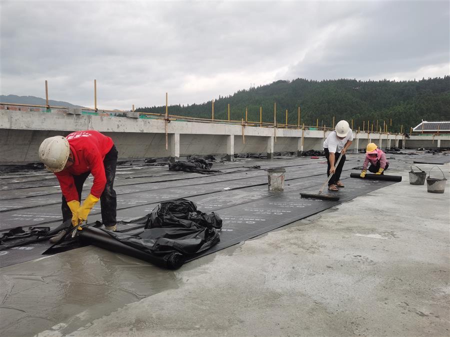 AG Club | The Originator of Live Casino