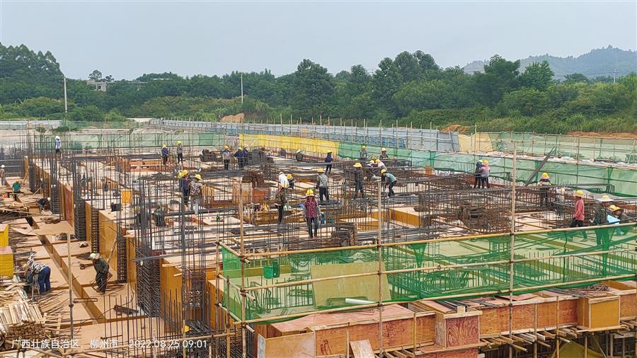 AG Club | The Originator of Live Casino