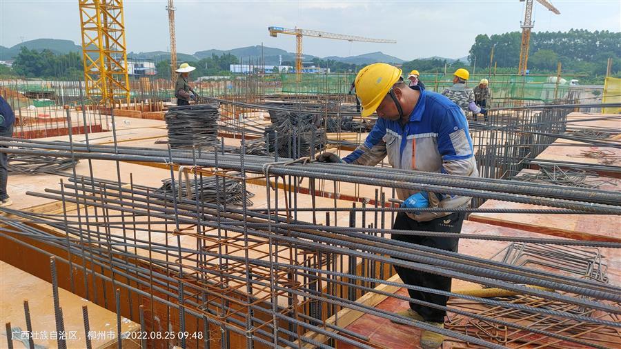 AG Club | The Originator of Live Casino