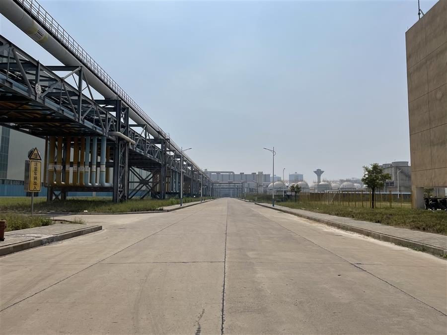 AG Club | The Originator of Live Casino