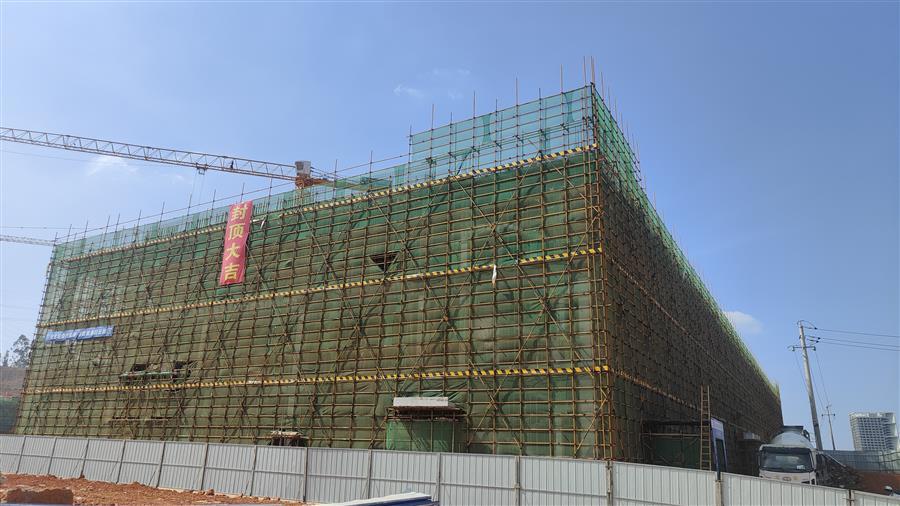 AG Club | The Originator of Live Casino