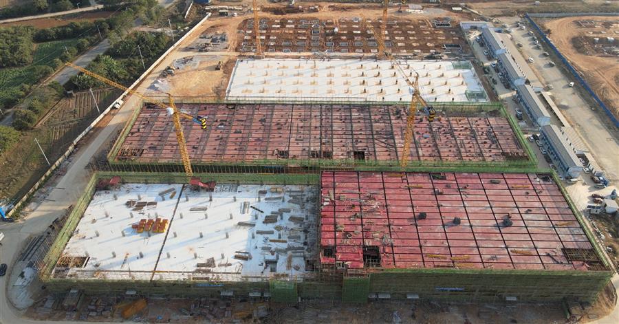 AG Club | The Originator of Live Casino