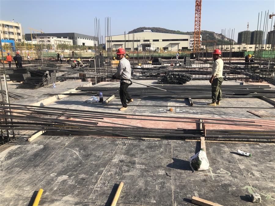 AG Club | The Originator of Live Casino