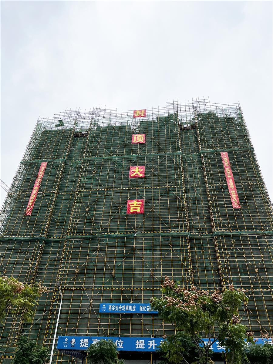 AG Club | The Originator of Live Casino