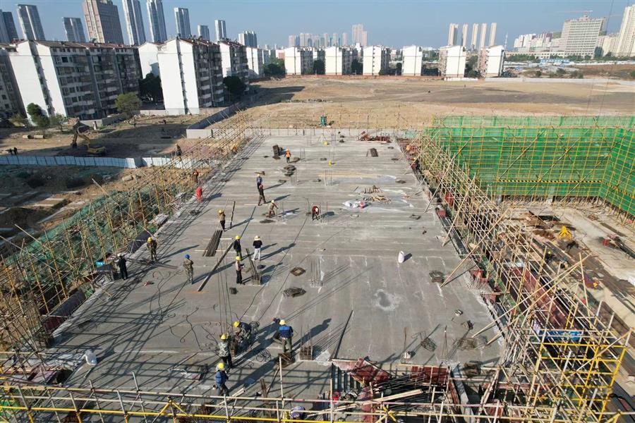 AG Club | The Originator of Live Casino