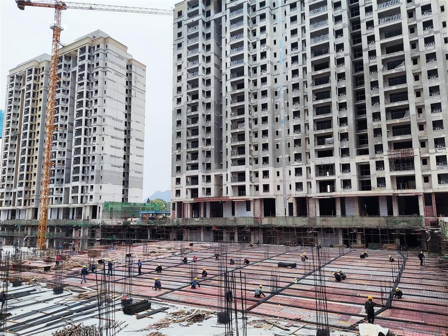 AG Club | The Originator of Live Casino