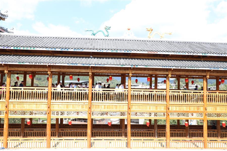 AG Club | The Originator of Live Casino