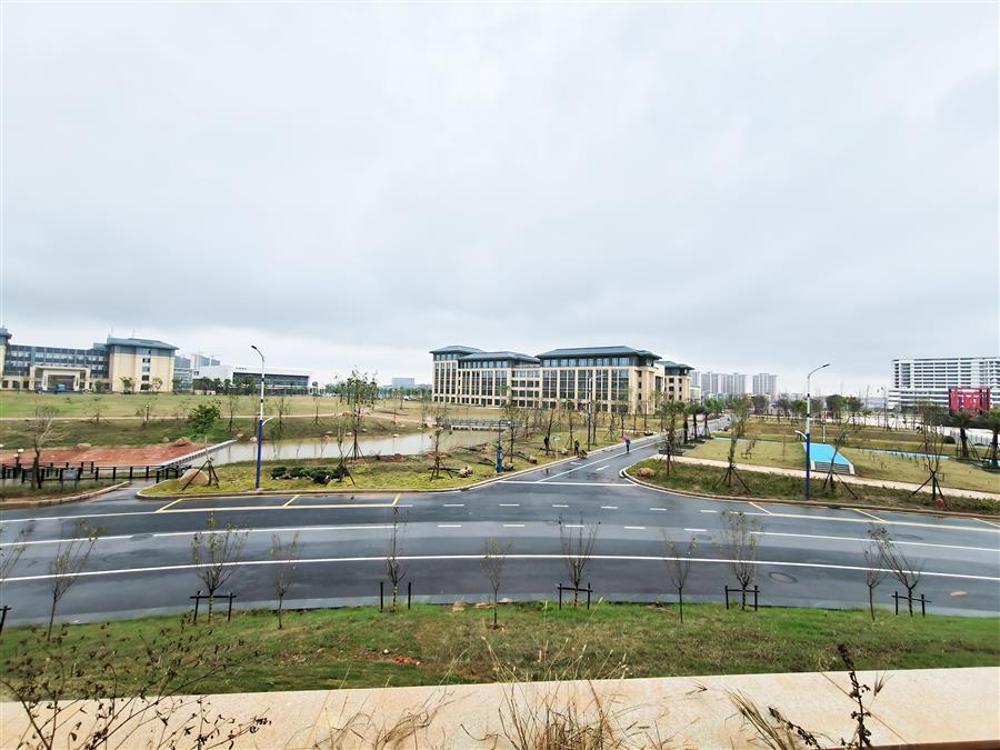 AG Club | The Originator of Live Casino